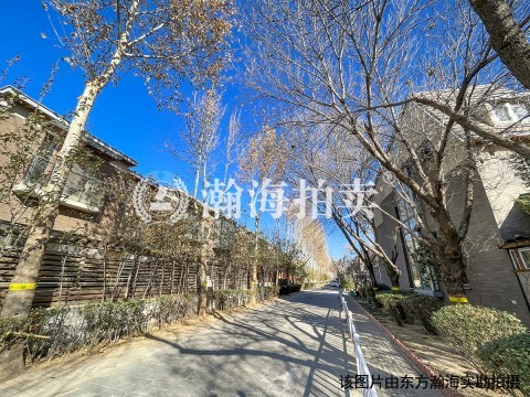 龙湾别墅2516号（别墅）