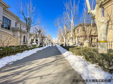 泰禾中国院子223号楼101号（别墅）