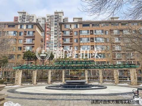 远洋一方花语苑9号楼1单元203室