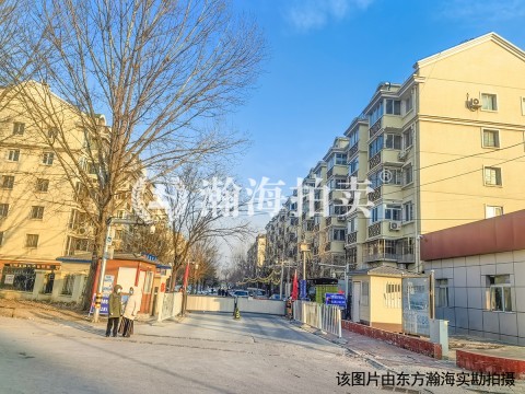 碧桂园小区二区24号楼2单元602（跃层）