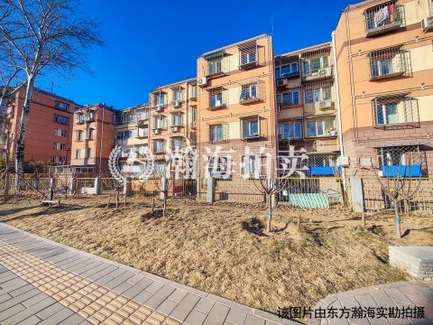 玉桥北里30号楼111室