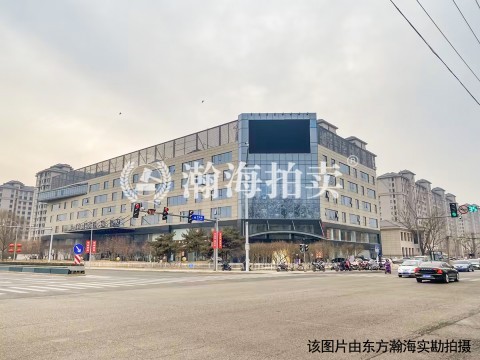 都丽华府9幢（共541套）