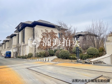九章别墅17号楼103号（别墅）