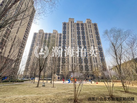 金科天宸荟100号楼B1330号