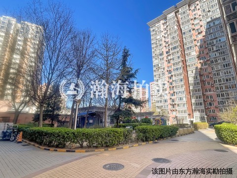 团结湖公寓C楼06G室