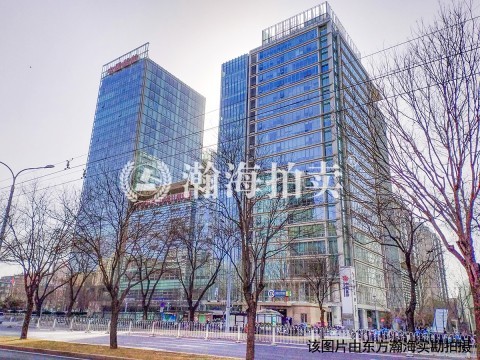 主语国际中心4楼803室