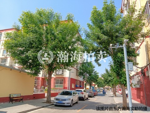 兴云小区6号楼3单元102室