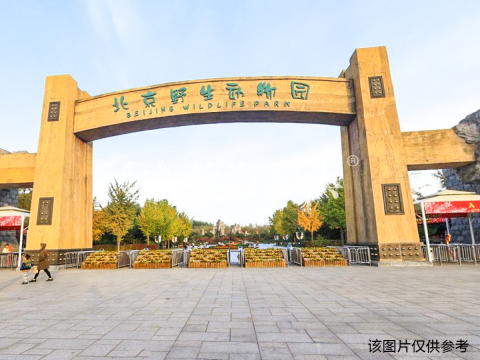 张场村 东1幢1至4层
