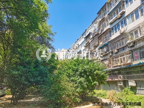 马甸南村2号楼906室