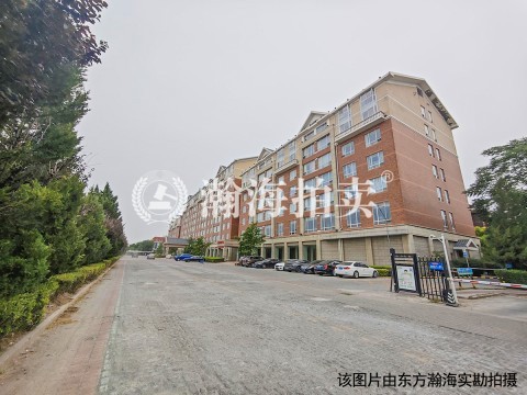 龙城花园W区F1公寓3A室（带小院）