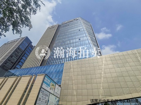 大兴绿地中央广场2号楼2单元317室