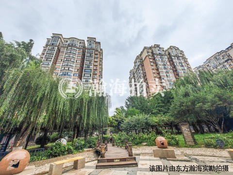 花市枣苑1号楼、1号裙房商业房产