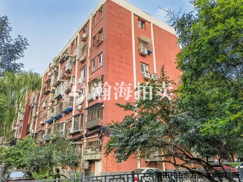 洋桥北里19号楼5单元502室