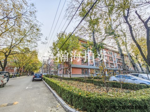 和平街十一区29号楼4单元416室