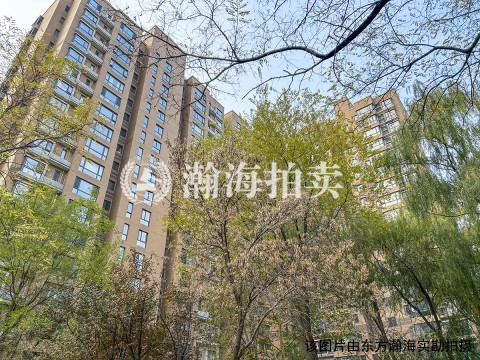 合生国际花园二期20号楼102室（底商）