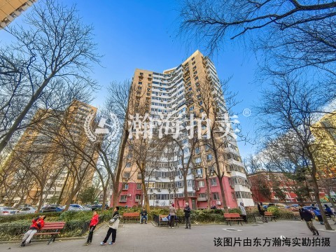 知春里13号楼1010室