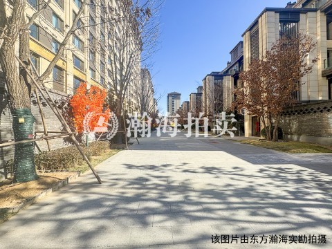 泰禾金府大院13号楼3单元3、B201室（上叠）