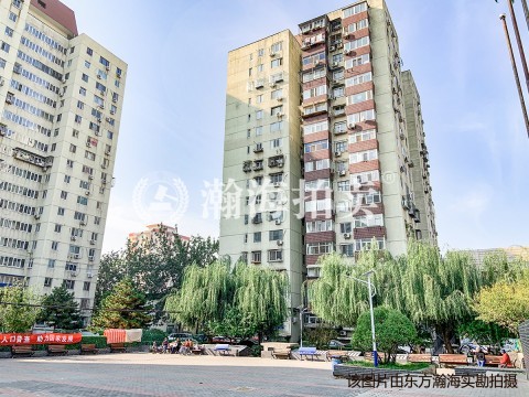 西罗园南里40号楼2009室