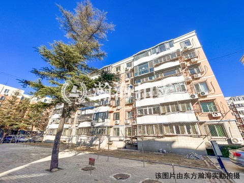 双河北里10号楼4单元101室