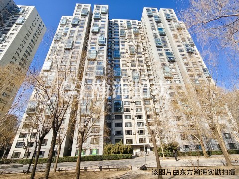 苹果社区南区1号楼B座1101室