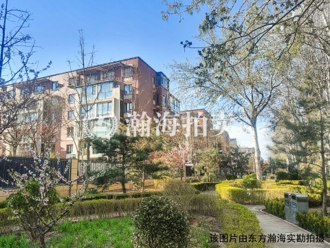 阿尔法社区三期461号楼1单元201室
