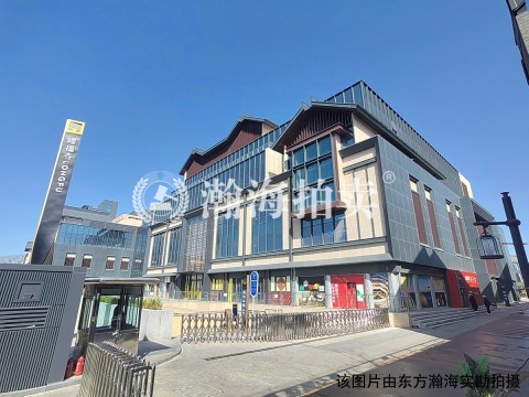 金隆基大厦D-1室