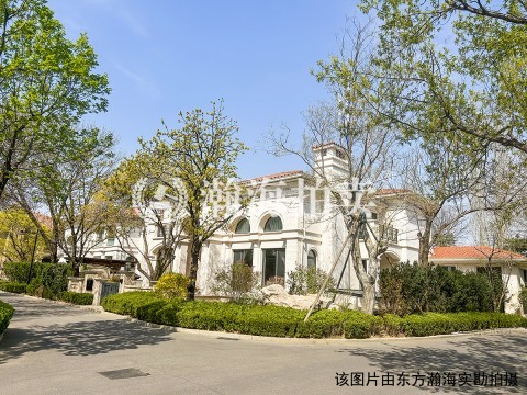 泰禾中国院子176号（别墅）
