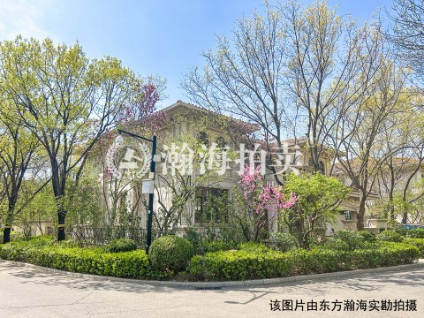 泰禾中国院子49号（别墅）