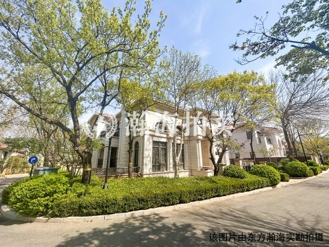 泰禾中国院子52号（别墅）