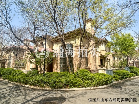 泰禾中国院子207号（别墅）