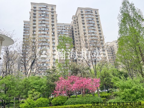 望京西园三区328号楼102室