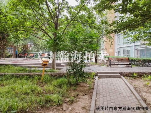 东晶国际公寓6号楼601室