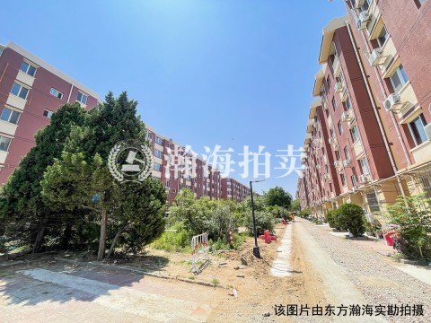 冠雅苑3号楼3单元501室
