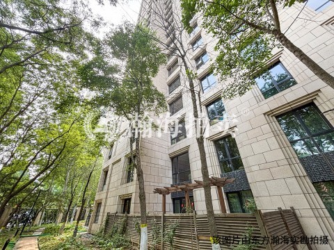 金茂府南区2号楼负1-051号