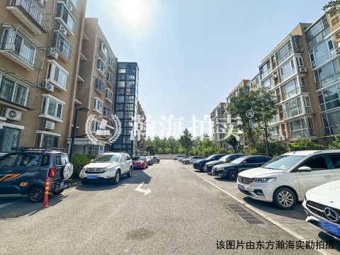 希望家园1号楼3单元101室
