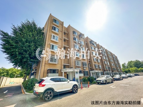希望家园10号楼4单元301室