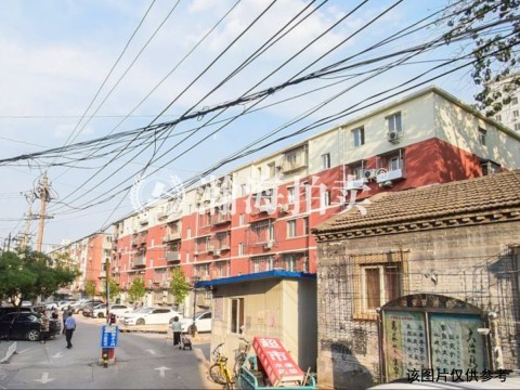 林业楼7号楼2单元203室