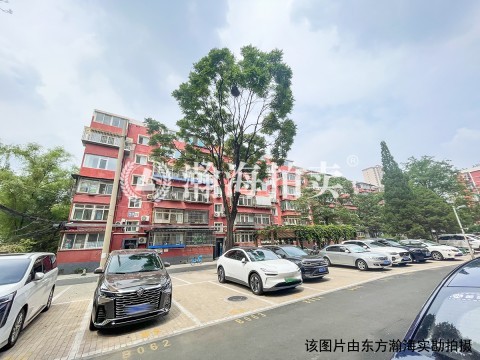 洋桥北里19号楼5单元502室