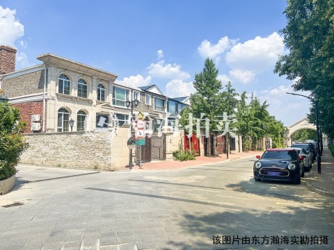 天鹅堡209号楼101号（别墅）