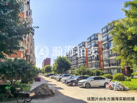 田家园小区1区3号楼1单元101