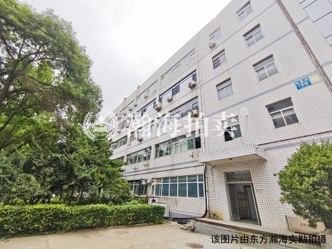 海鹰路1号6号楼5层