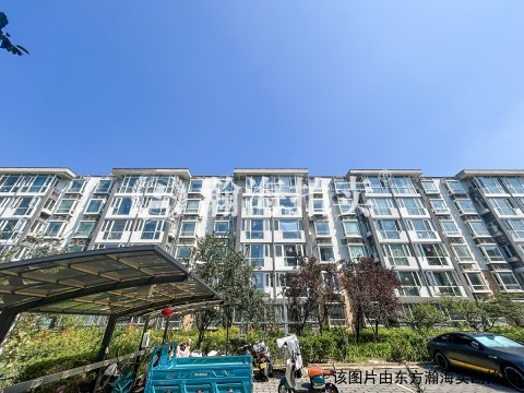 望都新地二期26号楼1单元201室