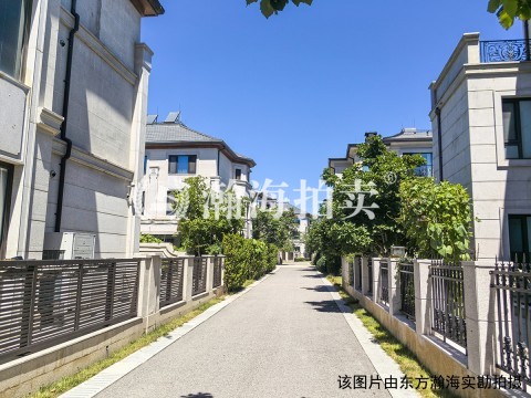新世界丽樽37号楼6室（别墅带2车位）