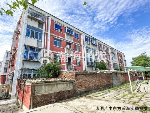 东风北里32号楼3单元204室