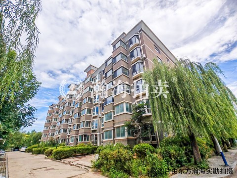 馨港庄园二区11号楼4单元102室