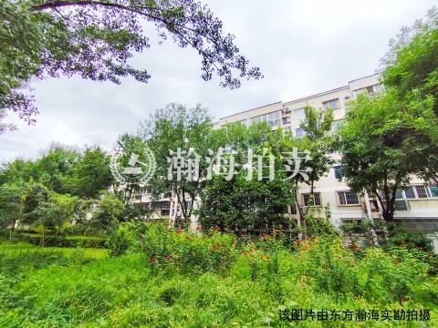 龙锦苑二区14号楼6单元601室