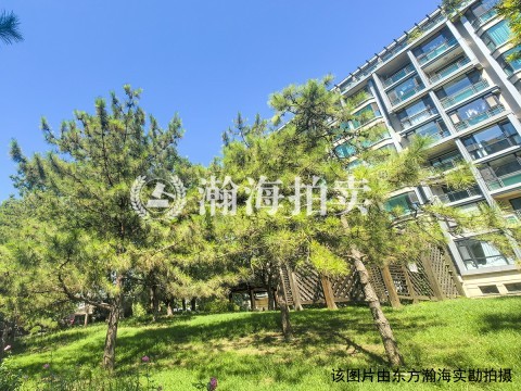 山水文园三期6号楼1单元301室