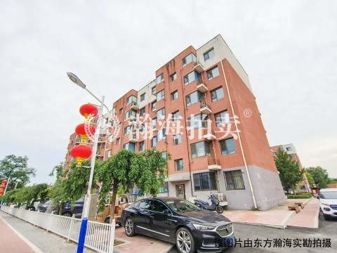 南农家园13号楼3单元101室