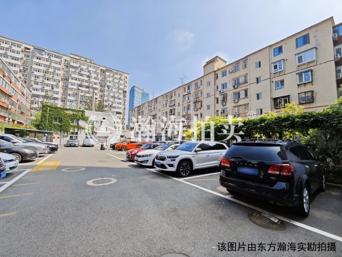 春秀路5号楼102室