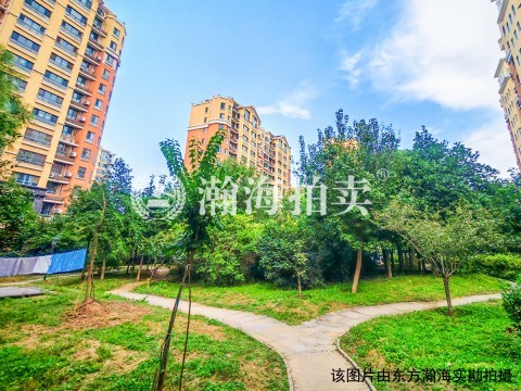 九洲溪雅苑一区14号楼1单元101室